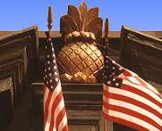 pineapple.jpg (6507 bytes)